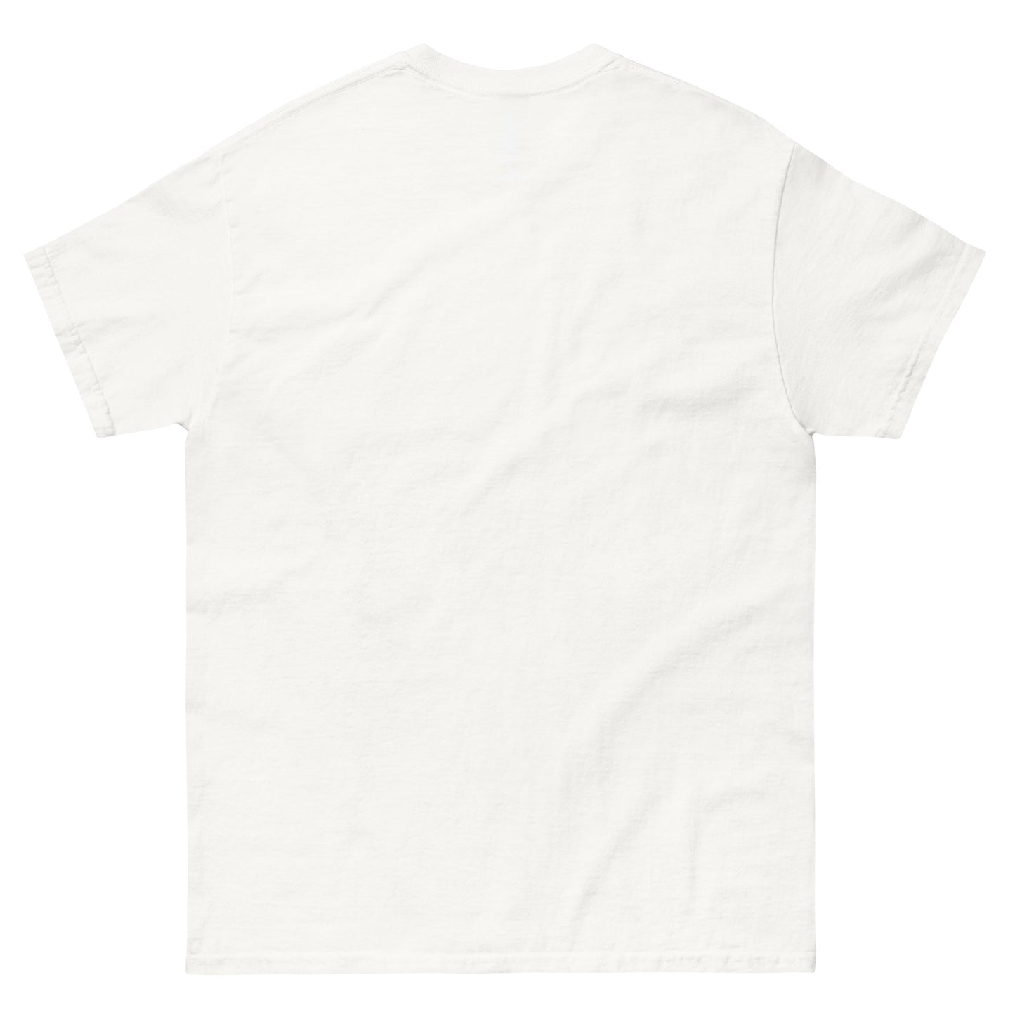 Wizard Men's classic tee
